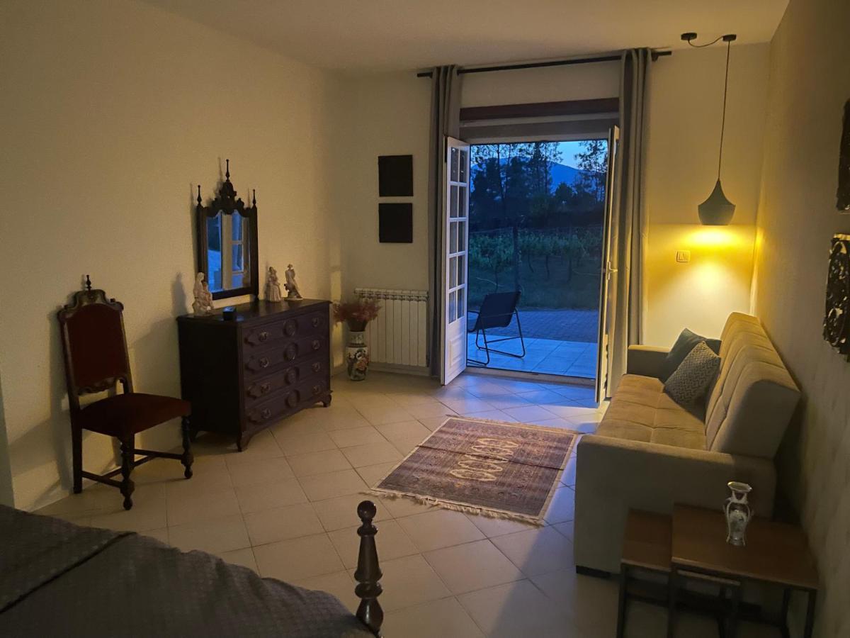 Quinta Da Paixao - Bed & Breakfast Pedraca Exterior foto