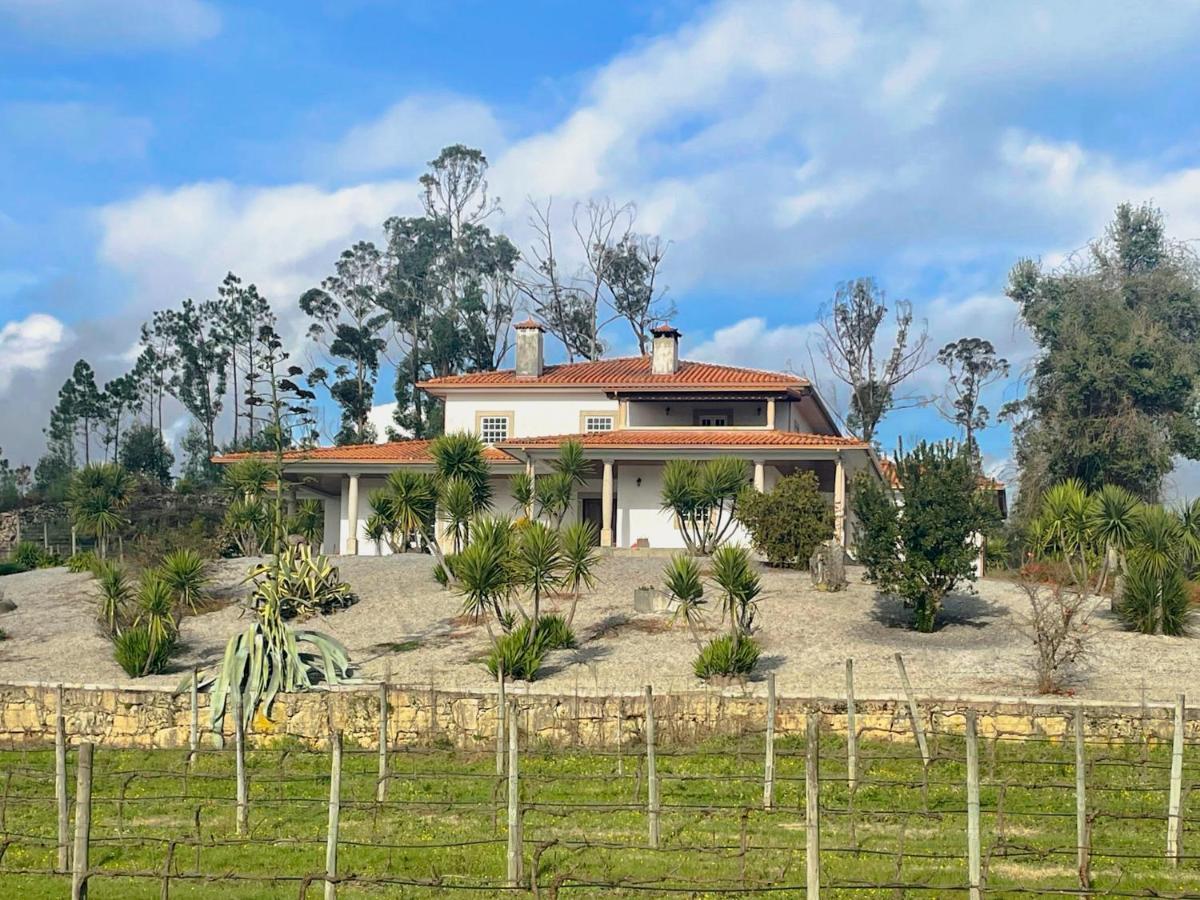 Quinta Da Paixao - Bed & Breakfast Pedraca Exterior foto
